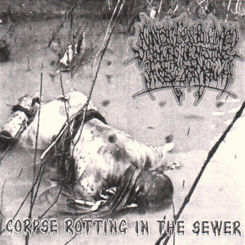 Corpse Rotting in the Sewer